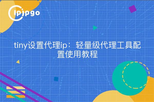tiny设置代理ip：轻量级代理工具配置使用教程