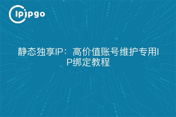 静态独享IP：高价值账号维护专用IP绑定教程