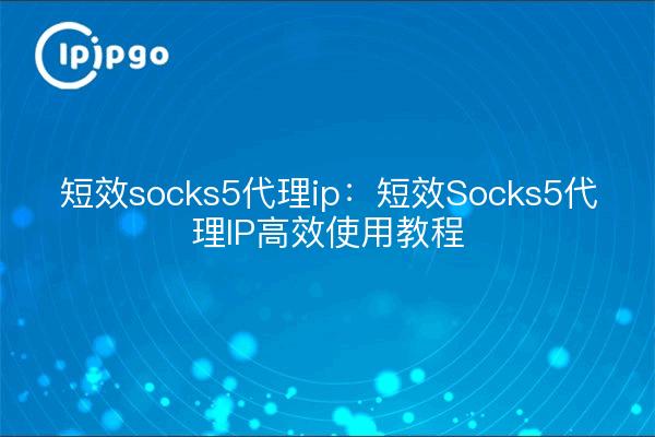 短效socks5代理ip：短效Socks5代理IP高效使用教程