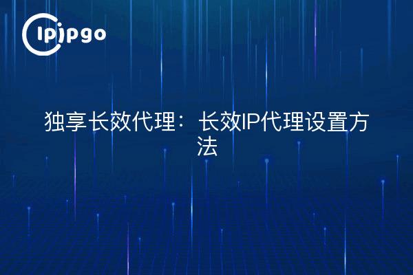 独享长效代理：长效IP代理设置方法