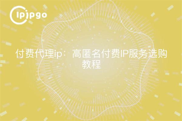 Proxy IP de pago: Tutorial sobre la compra de un servicio de IP de pago altamente anónimo