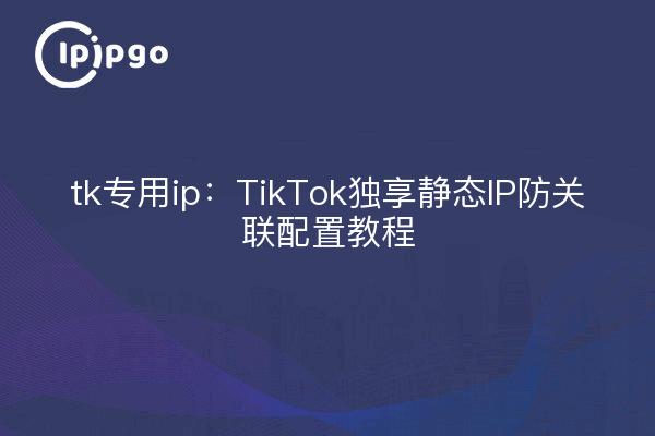 tk专用ip：TikTok独享静态IP防关联配置教程