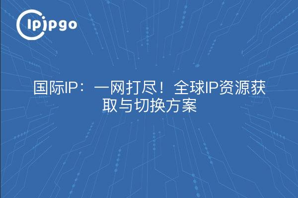 Internationales geistiges Eigentum: alles an einem Ort! Globales Programm zur Beschaffung und Vermittlung von IP-Ressourcen