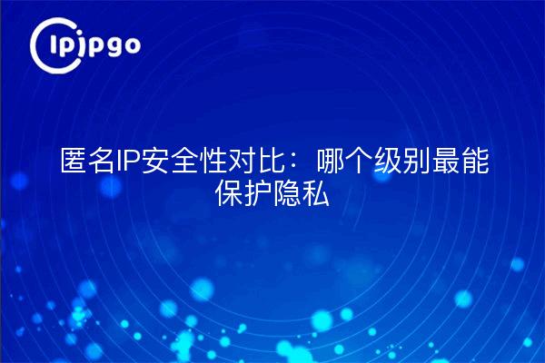 匿名IP安全性对比:哪个级别最能保护隐私