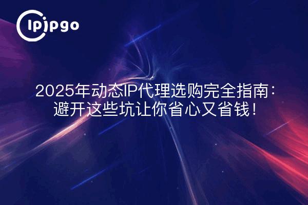2025年动态IP代理选购完全指南：避开这些坑让你省心又省钱！