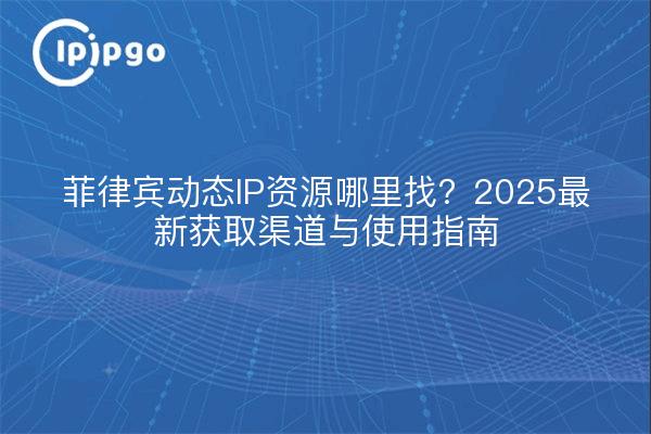 Where to Find Dynamic IP Resources in the Philippines?2025 Latest Access and Usage Guidelines
