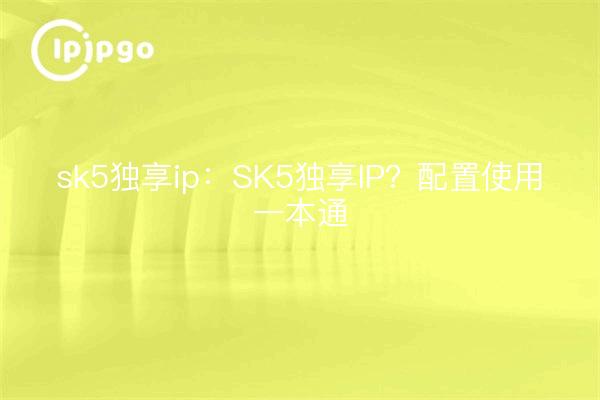 SK5 Dedicated IP: SK5 Dedicated IP?