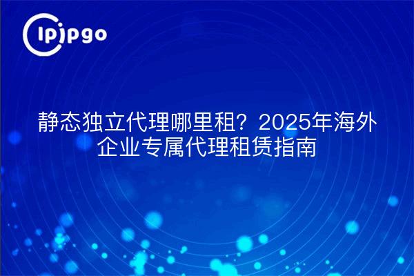 静态独立代理哪里租？2025年海外企业专属代理租赁指南
