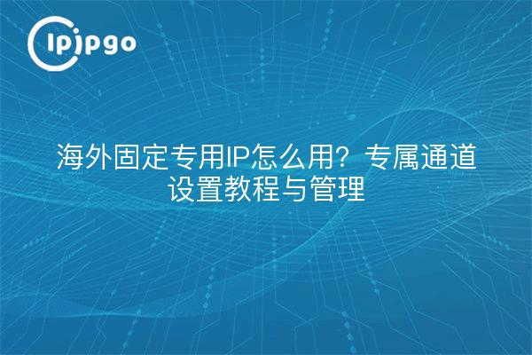 How to use overseas fixed dedicated IP? Dedicated channel setup tutorial and management