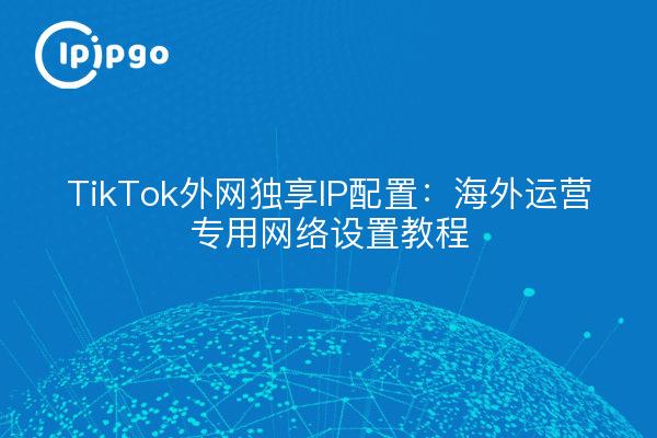 TikTok外网独享IP配置：海外运营专用网络设置教程