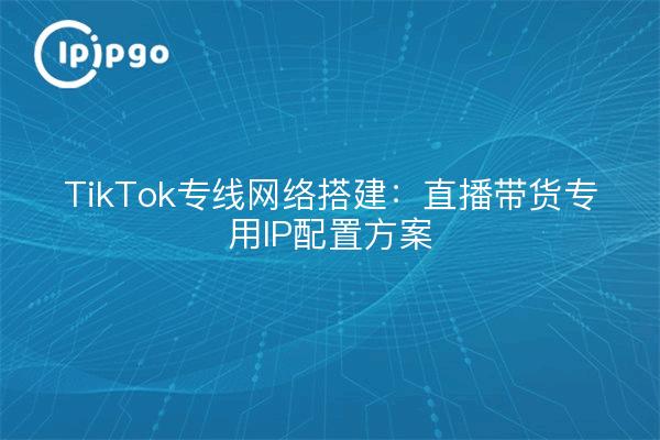 TikTok专线网络搭建：直播带货专用IP配置方案