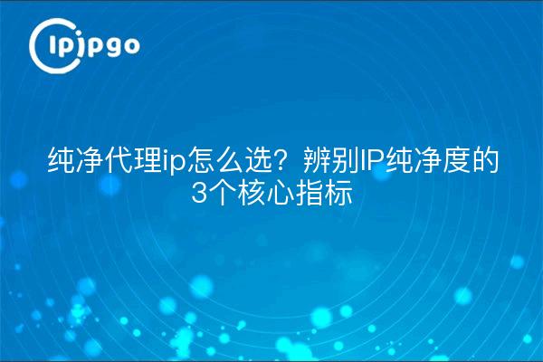 Comment choisir une IP proxy pure ? 3 indicateurs fondamentaux pour identifier la pureté de l'IP