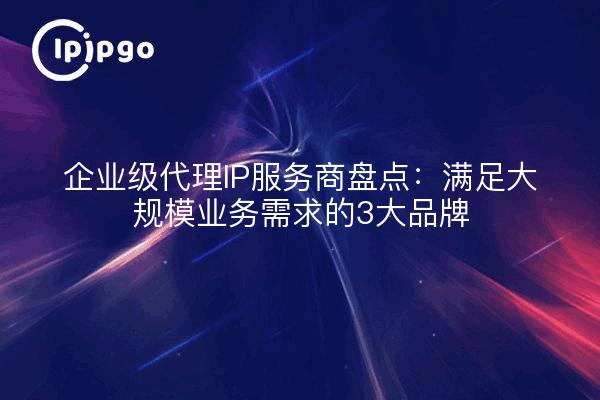 企业级代理IP服务商盘点：满足大规模业务需求的3大品牌