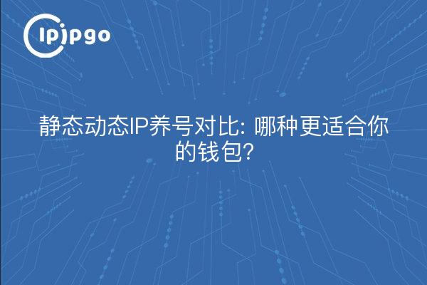 静态动态IP养号对比: 哪种更适合你的钱包?