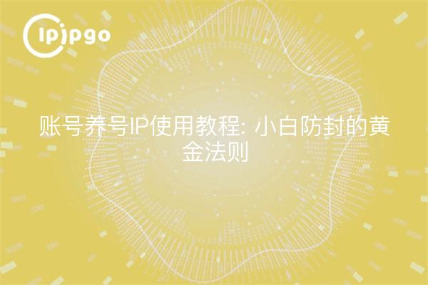 账号养号IP使用教程: 小白防封的黄金法则