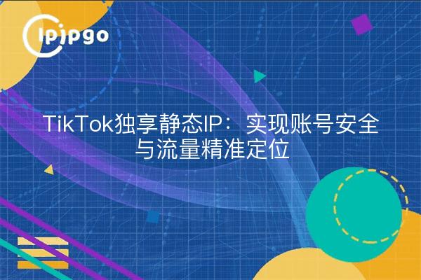 TikTok独享静态IP:实现账号安全与流量精准定位