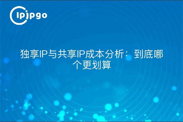 独享IP与共享IP成本分析：到底哪个更划算