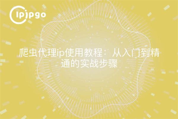 Tutoriel sur l'utilisation de l'ip proxy crawler : du débutant au maître des étapes pratiques