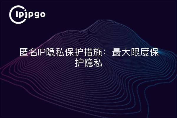 匿名IP隐私保护措施：最大限度保护隐私
