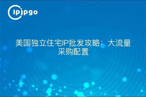 美国独立住宅IP批发攻略:大流量采购配置