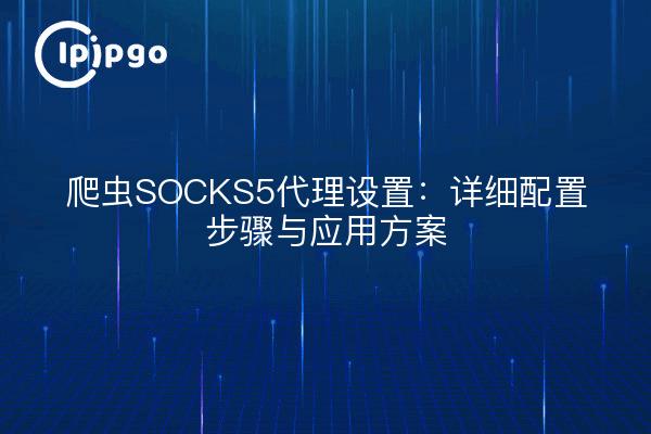 爬虫SOCKS5代理设置:详细配置步骤与应用方案