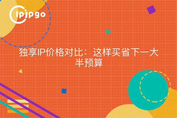 独享IP价格对比:这样买省下一大半预算