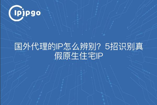 国外代理的IP怎么辨别？5招识别真假原生住宅IP