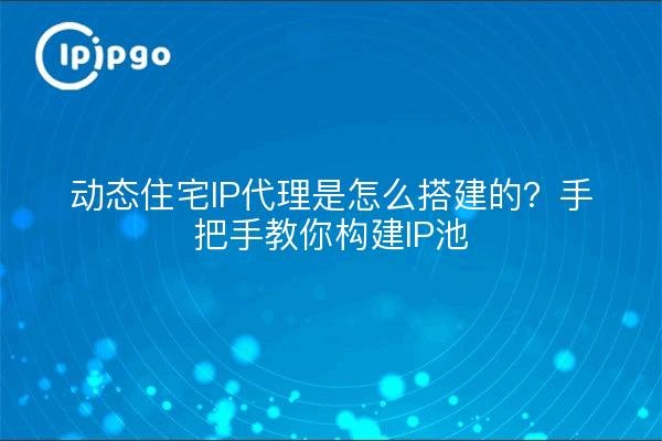 动态住宅IP代理是怎么搭建的?手把手教你构建IP池