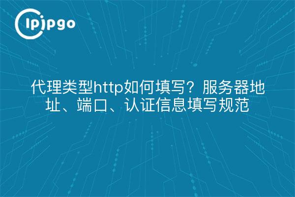 Wie füllt man den Proxy-Typ http aus? Serveradresse, Port, Authentifizierungsinformationen zum Ausfüllen der Spezifikation