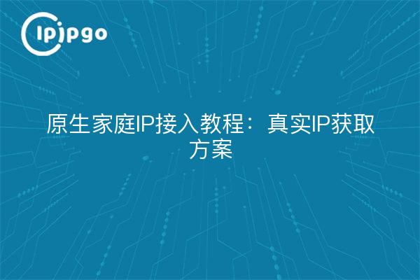 Native Home IP Access Tutorial: Real IP Acquisition Solution