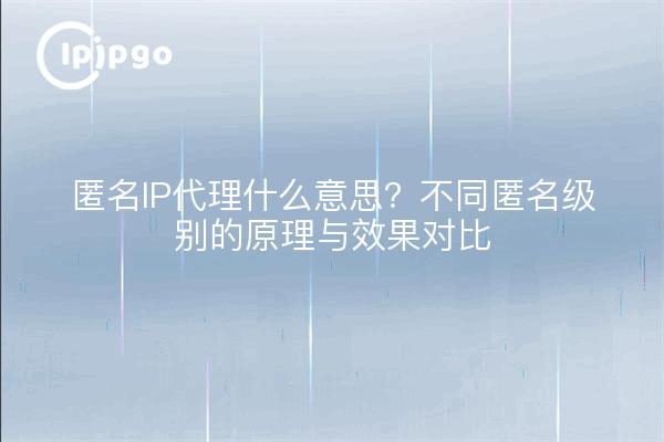 匿名IP代理什么意思?不同匿名级别的原理与效果对比