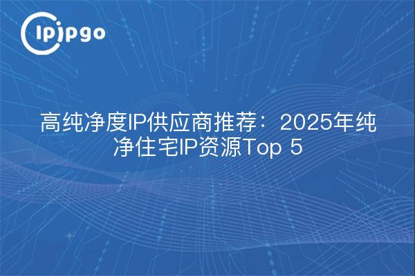 高纯净度IP供应商推荐:2025年纯净住宅IP资源Top 5