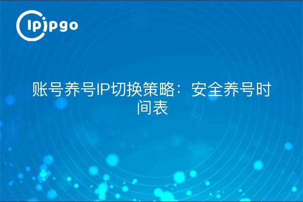 账号养号IP切换策略：安全养号时间表