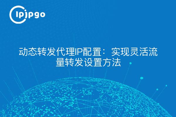 动态转发代理IP配置：实现灵活流量转发设置方法