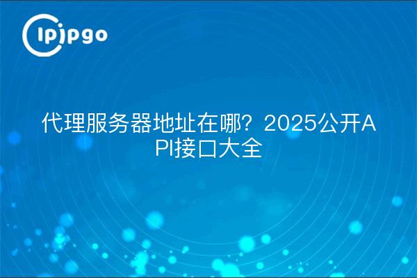 Où se trouve l'adresse du serveur proxy ? 2025 Public API Interface Book