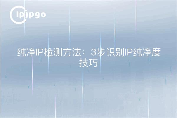纯净IP检测方法:3步识别IP纯净度技巧