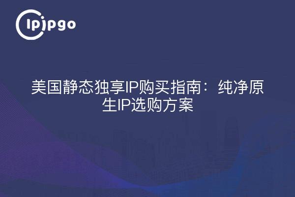 美国静态独享IP购买指南:纯净原生IP选购方案