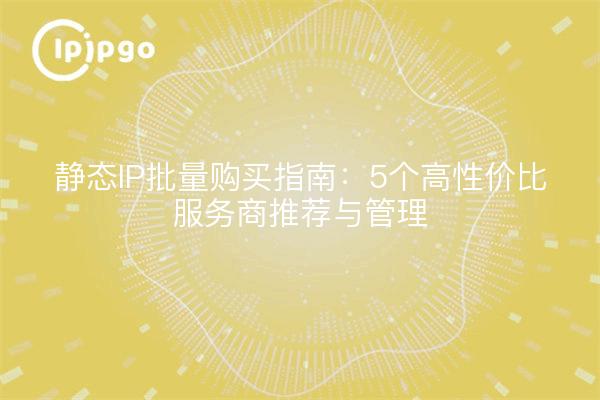 静态IP批量购买指南：5个高性价比服务商推荐与管理