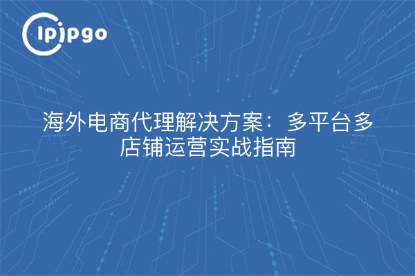 Soluciones para agentes de comercio electrónico en el extranjero: guía práctica de operaciones multiplataforma y multitienda