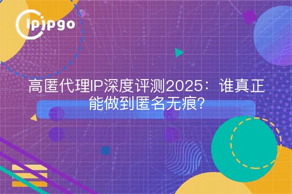 高匿代理IP深度评测2025:谁真正能做到匿名无痕?