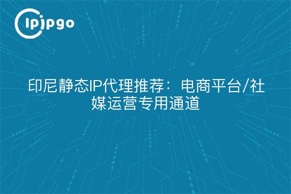 Indonesia static IP proxy recommendation: e-commerce platform / social media operation dedicated channel