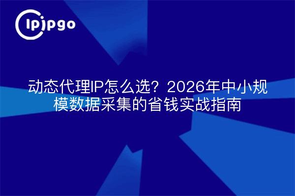动态代理IP怎么选?2026年中小规模数据采集的省钱实战指南