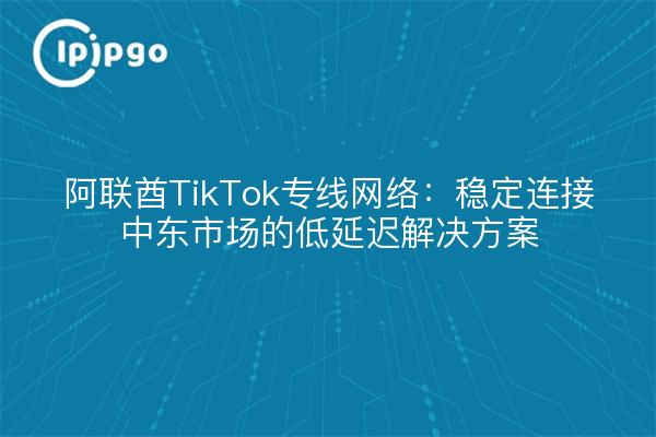 阿联酋TikTok专线网络:稳定连接中东市场的低延迟解决方案