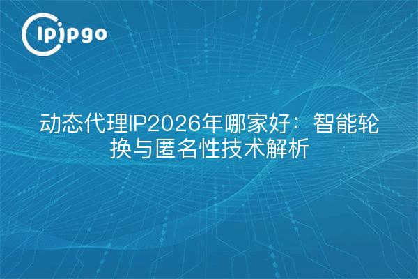 动态代理IP2026年哪家好：智能轮换与匿名性技术解析