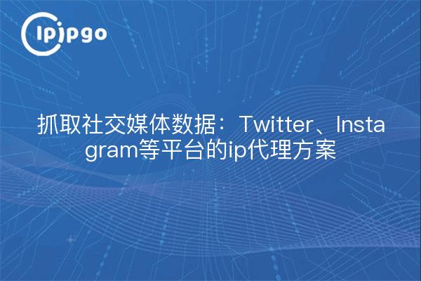 抓取社交媒体数据：Twitter、Instagram等平台的ip代理方案