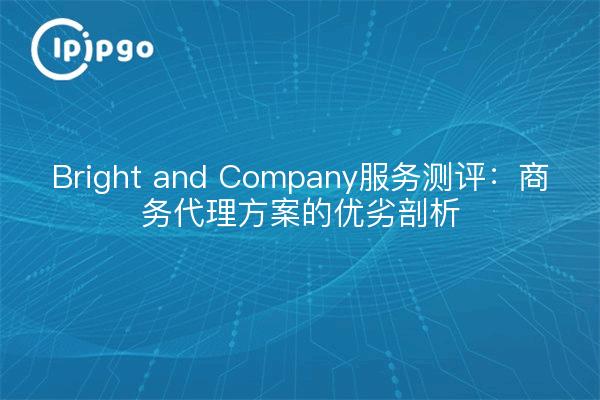 Bright and Company服务测评:商务代理方案的优劣剖析