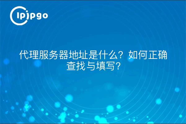 代理服务器地址是什么？如何正确查找与填写？