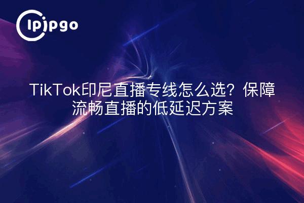 TikTok印尼直播专线怎么选？保障流畅直播的低延迟方案