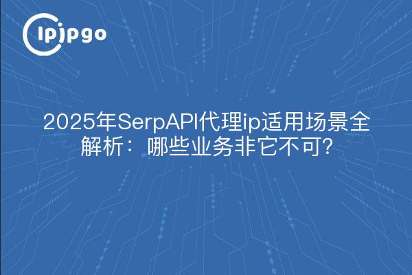 2025 SerpAPI proxy ip anwendbar Szenarien vollständige Analyse: welches Unternehmen muss es?