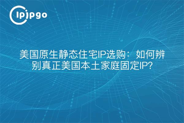 美国原生静态住宅IP选购:如何辨别真正美国本土家庭固定IP?